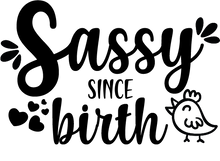 Load image into Gallery viewer, Baby Bibs